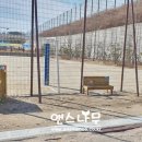 광주송정초등학교 병설유치원 이미지