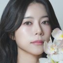 양지은 카카오 검색결과