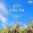 일상의 각별한 기행 이미지