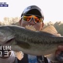 아이즈팝안경원 이미지