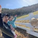 서하목장 이미지