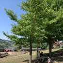 홍이목장 이미지