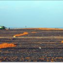 고은목장 이미지