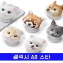 멍냥이 스토리 이미지