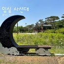관촌면사무소 | 임실 사선대 유래와 푸른 조각공원 산책, 뷰맛집 카페 포레드노드와 이팝나무 아래 보물 2호와의 기록