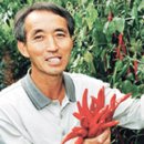 청도양행