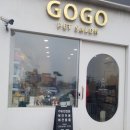 쭈 애견미용 이미지