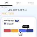 보테에스테틱