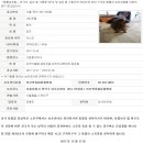 러브펫종합동물병원 이미지