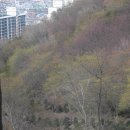 부산배화학교 이미지