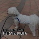 빱쓸