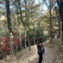 🍂은비언니와 선산 비봉산 산행&선산시장구경1 이미지