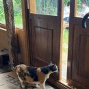 연동민박 이미지