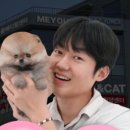 미유펫 강아지애견미용 이미지