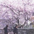 시간여행2004 이미지