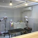 장덕초교 앞 이미지