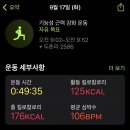 헬스 pt 11회 후기 / 자유 헬스 기록