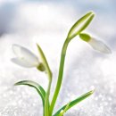 국민가스 이미지