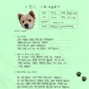 정강동물병원 | [#1435] 뽀리(우측 슬개골탈구 G3 / 우측 전방십자인대)의 수술후기