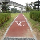 대덕사이언스길(제2코스) 이미지