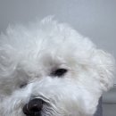 슬쩍