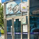 청정오리떼 이미지