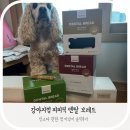 피피브레드 | 피피픽 덴탈 브레드 강아지껌 내돈내산 솔직리뷰! 치석관리와 구강건강을 한번에…