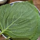 대새닭 | 인계동 맛집 낙곱새 맛집 대새닭 솔직 후기