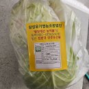 소망농장 | 산지직송 소망농장 유기농양배추 양배추전 양배추요리 다이어트반찬