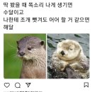 청년만두 이미지