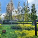 북영천역 옹벽 벽화 이미지