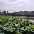 뉴오션리조트 이미지