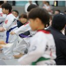 거룡태권도장 이미지