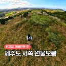 충혼 | 11월 제주도여행 오름 추천 제주 서귀포 서쪽 원물오름