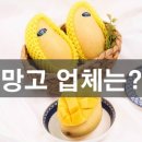 메가팜 이미지
