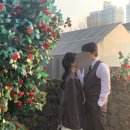 토탈헤어라인 - 평택시 | [메이크업 - 5] 메이스튜디오 토탈 촬영 메이크업 신랑 헤어 후기