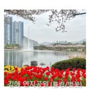 연지유치원 | 김해 연지공원 피크닉 후기 (튤립/벚꽃/주차/분수)