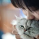 미소짓는약국 | [광고분석#156 | 국내광고] 반복된 회피는 멈추고, 소중한 해피는 지켜낸다! / 지르텍 - 회피 말고 해피 편