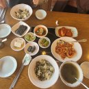 시래향 이미지