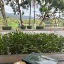 호수의 수호자_A | 치앙마이 카페 후기