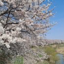 변응정 사당 이미지