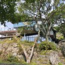 바우정원 이미지