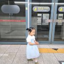 은성푸드서대구역사점 | 아기랑 대구 2박3일 KTX타고 국내여행 | 꿀팁/대구숙소/아쿠아리움/지하철