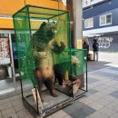 곰씨상점 이미지