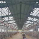 새롬농장 | 축사 환풍기 설치, 돈사 환기 문제 해결의 핵심은 &#39;맞춤형 솔루션&#39;