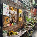 작은나무예술가(소품분재) | 치앙마이 반캉왓 예술가 마을 | 운영시간 소품샵 추천