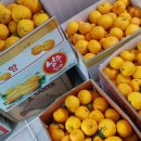 카페두루