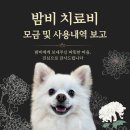 [후원내역보고][ 밤비 치료비 모금 및 사용내역 보고 ] 이미지