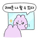 거진한우마트 이미지