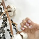 시크네일살롱